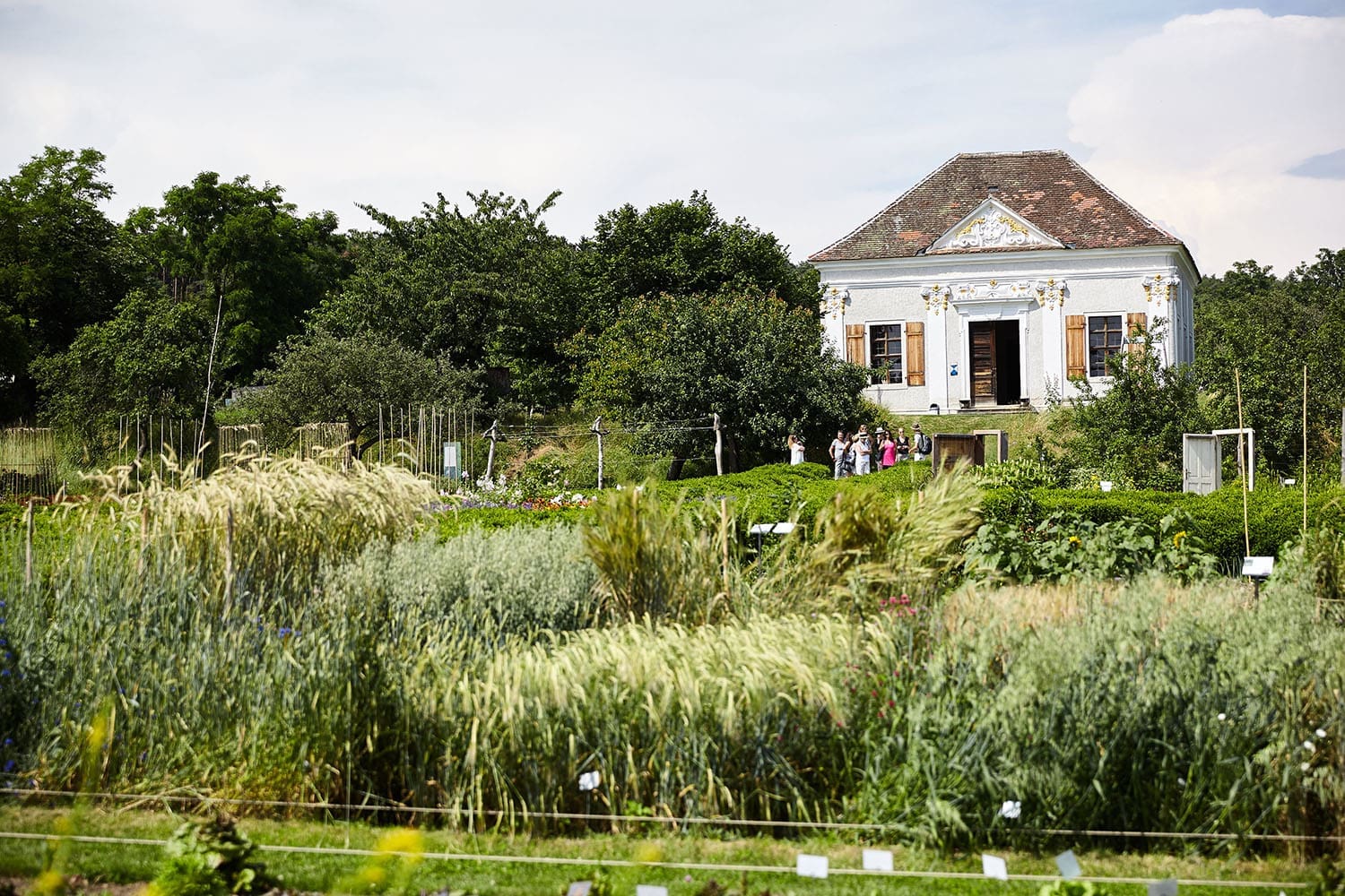 Raritäten im Schaugarten von Arche Noah schauvorbei