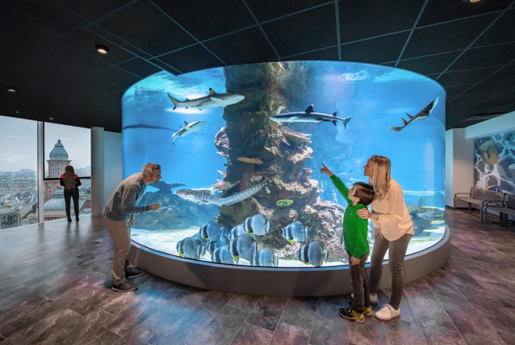 Mutter mit Kind und Mann stehen vor dem 360-Grad-Haibecken im Haus des Meeres.
