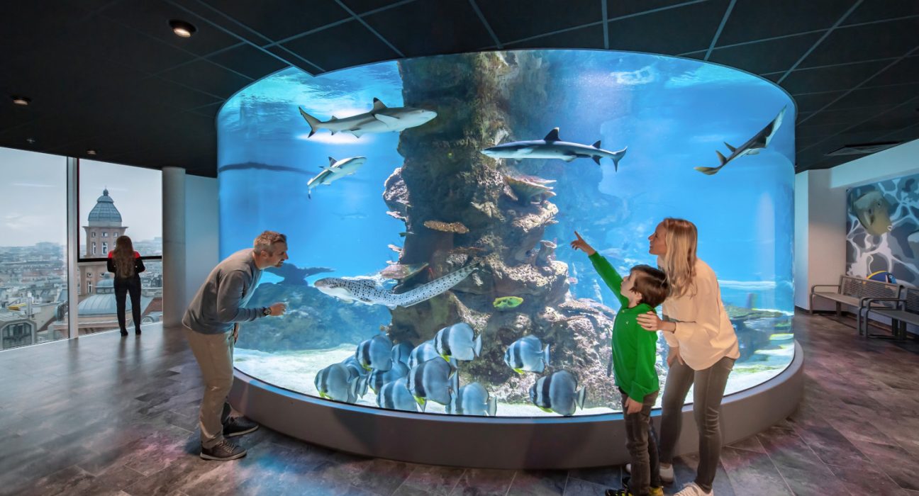 Mutter mit Kind und Mann stehen vor dem 360-Grad-Haibecken im Haus des Meeres.