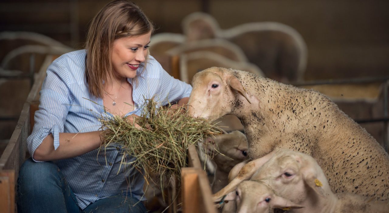 Die Käsemacher-Chefin Doris Ploner mit Schafen