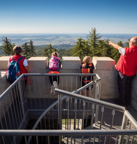 Man und drei Kinder stehen auf dem Aussichtsturm Geschriebenstein und genießen den Ausblick.