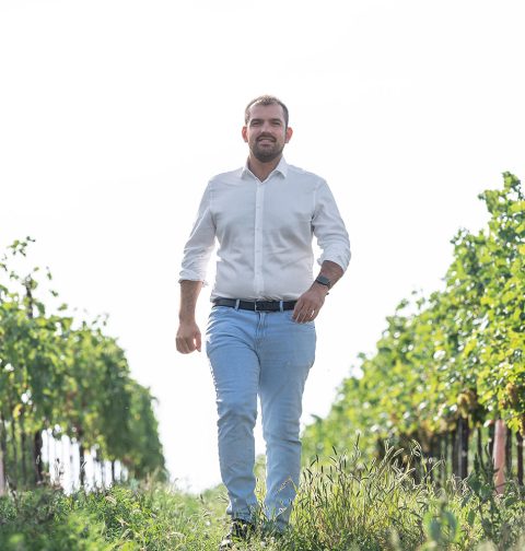 Bürgermeister Kilian Brandstätter mit weißen Hemd, heller Jeans und Gürtel im Weingarten.