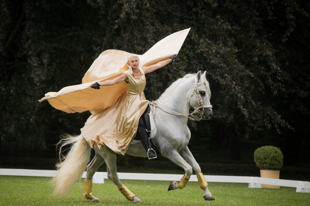 Frau im Barock-Kostüm reitet freihändig auf weißem Pferd