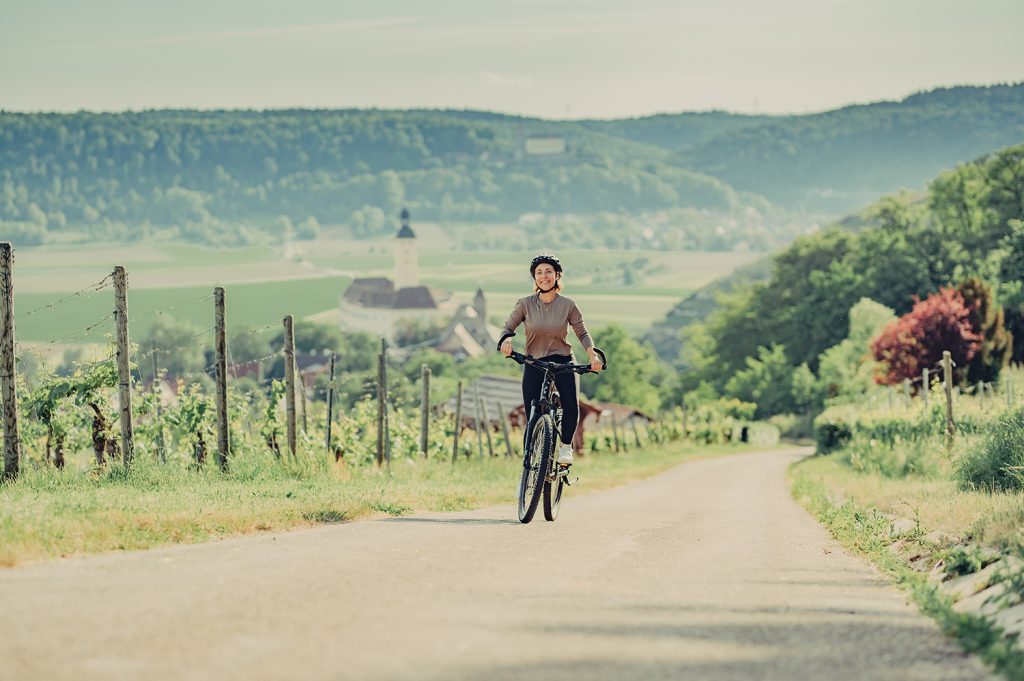 Radfahrer auf einer Straße durch das Weinbaugebit von Gundelsheim