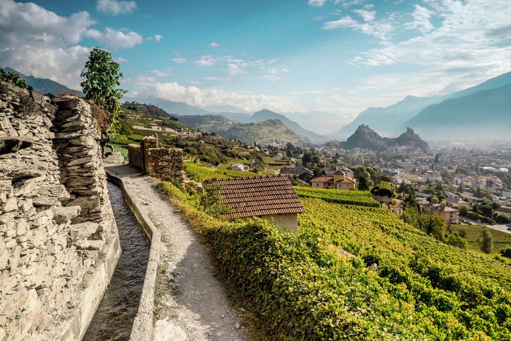 Panoramaweg entlang Weingärten über der Stadt Sion