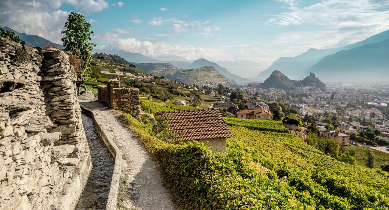 Panoramaweg entlang Weingärten über der Stadt Sion