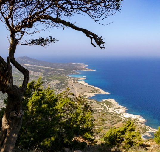 Blick von einem Hügel auf das Meer vor Zypern