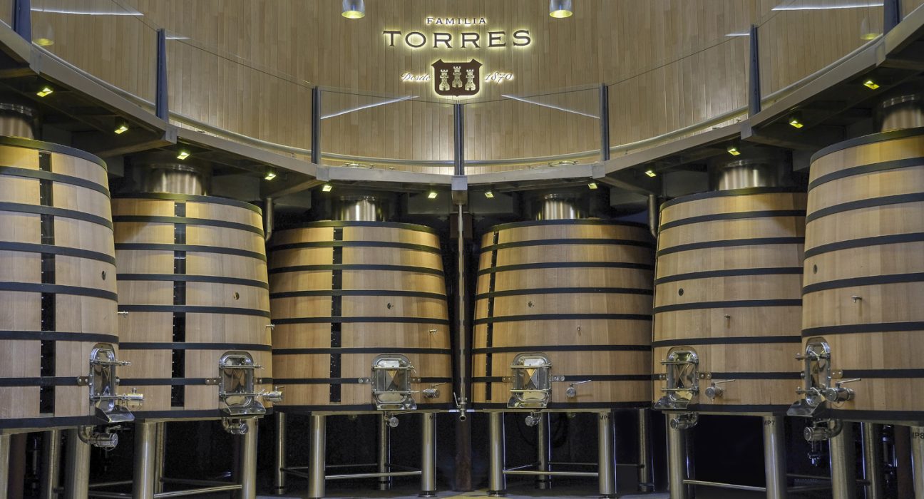 Weinfässer des Weinguts Familia Torres