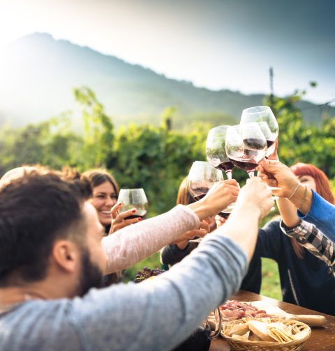 Mehrere junge Menschen stoßen mit ihrem Glas Wein in den Weinbergen an.