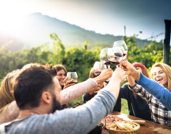 Mehrere junge Menschen stoßen mit ihrem Glas Wein in den Weinbergen an.