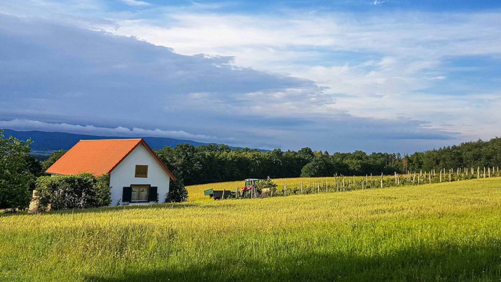 Weißes Häuschen mit rotem Dach umgeben von Feldern und Weinreben. Daneben steht ein Traktor. Im Hintergrund sieht man grüne Wälder.