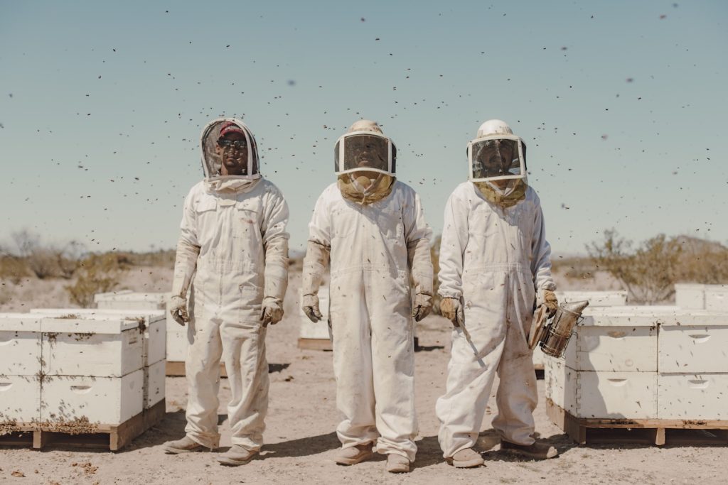 Drei Menschen in Bienen-Schutzanzügen bei Bienenstöcken in der Wüste von Arizone (World Press Foto) © Jonas Kakó, Panos Pictures