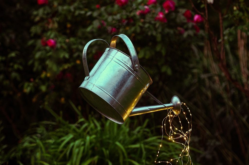 Eine Gießkanne schwebt in der Luft, aus ihrer Öffnung „rinnt“ eine Lichterkette. Im Hintergrund ein Gebüsch samt Blumenstrauch. (Burnett „Der geheime Garten“) © Rita Newman/Theater der Jugend