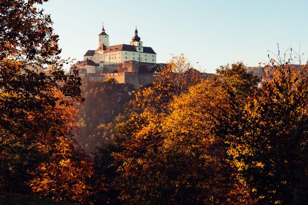 Burg Forrchtenstein thront am Hügel vor orange-braunen Baumkronen. Der Himmel ist hellblau. herbstliche Stimmung