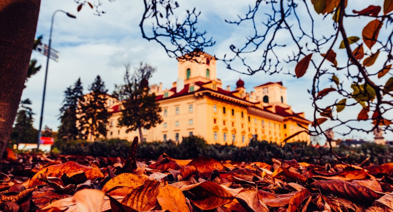Schloss Esterházy mit Herbstlaub im Vordergrund (Herbstgold) © Josef Siffert