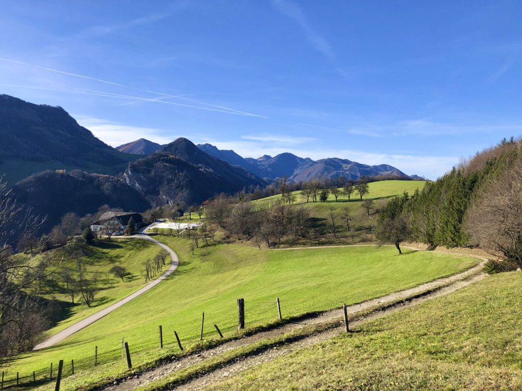 Blick in die Landschaft des Sebaldus-Rundwegs in Oberösterreich