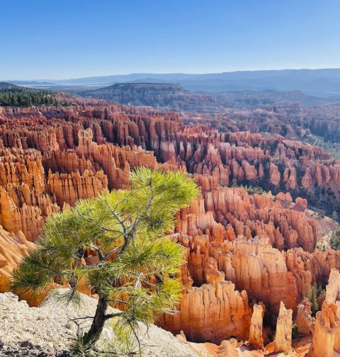 Blick auf die schroffen Felsen des Bryce Canyon National Park in Utah
