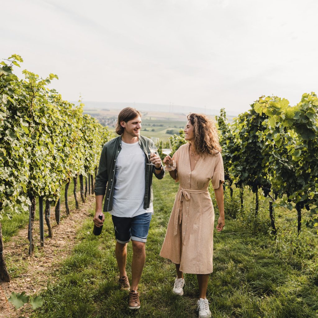 Besucher beim Leopoldigang 2022 in den Weingärten beim Anstoßen mit Weingläsern