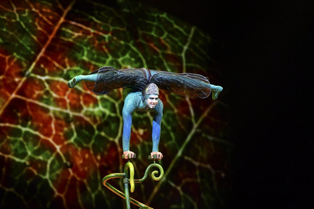 Ein Szenefoto aus der Vorstellung Cirque du Soleil OVO