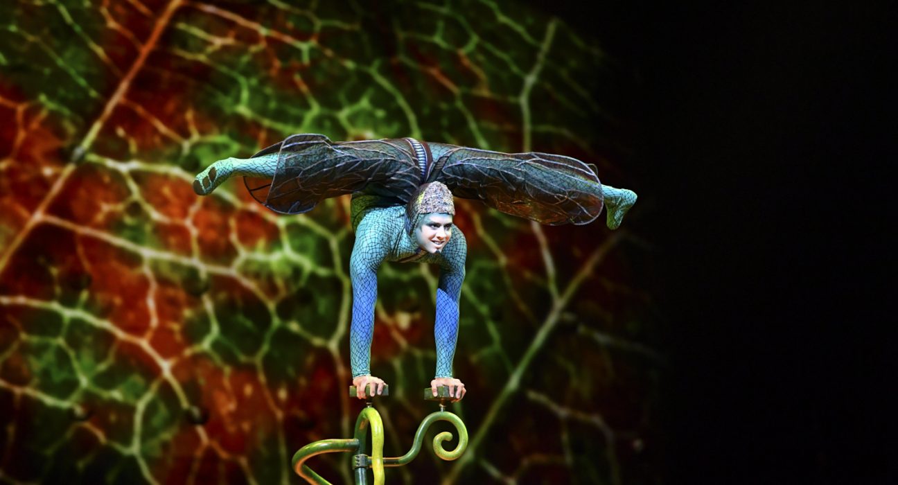 Ein Szenefoto aus der Vorstellung Cirque du Soleil OVO