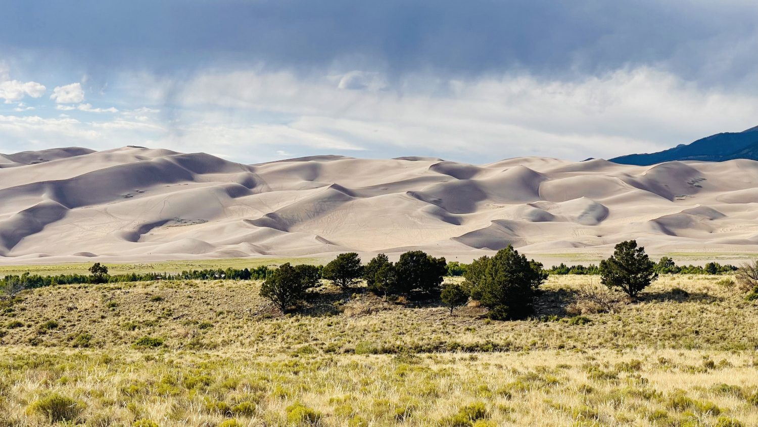Regenwolken und Sandberge im Great Sand Dunes National Park in Colorado