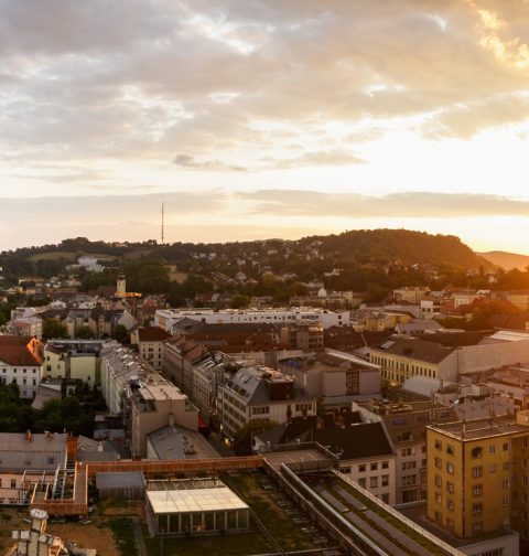 Linz-Panorama bei Sonnenuntergang über den Dächern