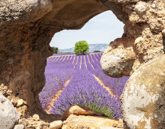 Blick auf Lavendelfelder durch ein natürliches Fenster in einer Steinmauer in Valensole, Provence