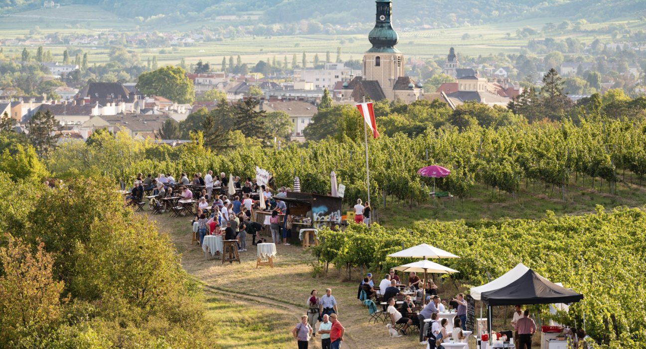 Eine hügelige Landschaft neben einer österreichischen Stadt mit Weinreben und Winzerstände.