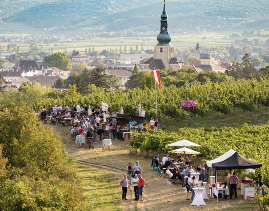 Eine hügelige Landschaft neben einer österreichischen Stadt mit Weinreben und Winzerstände.