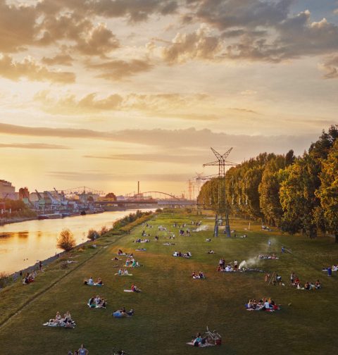 Fluss in Mannheim mit breitem grünen Wiesenufer, auf dem Menschen grillen, Sonnuntergangsstimmung