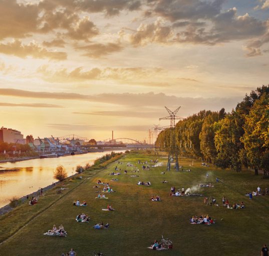 Fluss in Mannheim mit breitem grünen Wiesenufer, auf dem Menschen grillen, Sonnuntergangsstimmung
