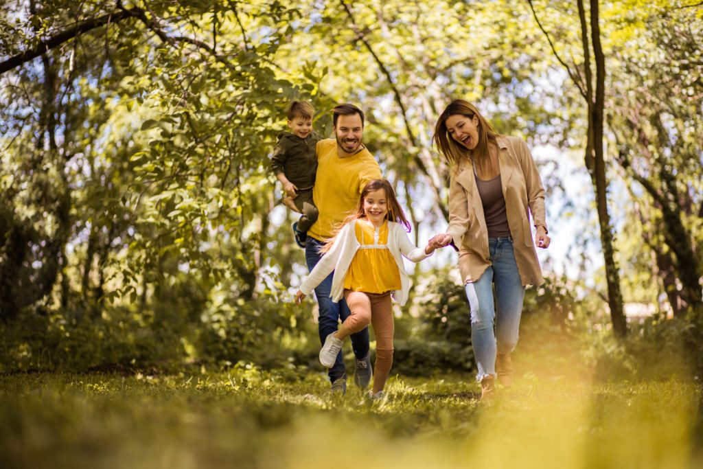 Familie geht an einem sonnigen Tag im Frühling im Wald spazieren