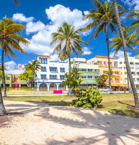 Farbenfrohe Häuserfront im Art Déco Stil hinter Palmen und vor blauem Himmel