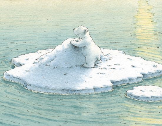 Eine Zeichnung von einem kleinen Eisbären, der auf einer Eisscholle treibt.