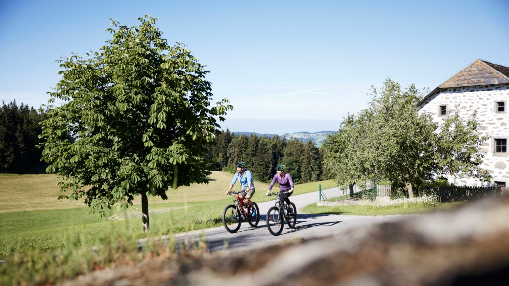 Zwei Radfahrer auf einer asphaltierten Radstrecke in Oberösterreich fahren an einem Bauernhaus und einem Baum vorbei.