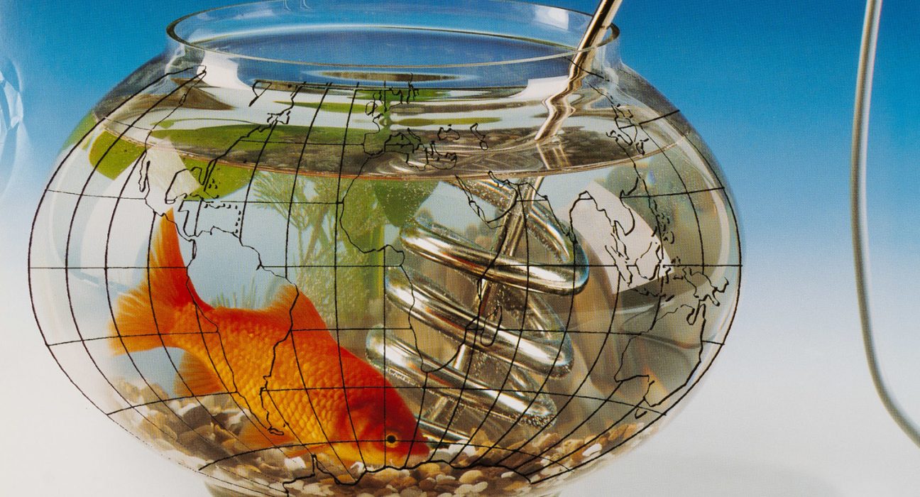 Oranger Fisch in einem Glas vor einer Weltkarte