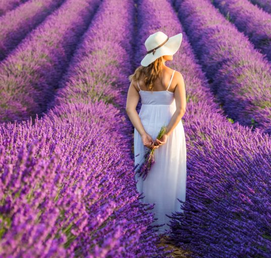 Frau mit einem weißen Kleid und Hut in einem Lavendelfeld in der Provence