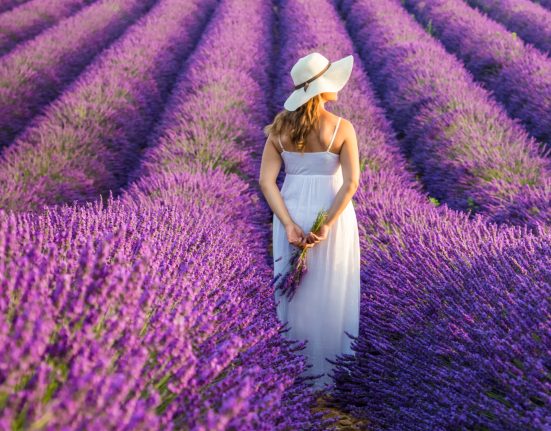Frau mit einem weißen Kleid und Hut in einem Lavendelfeld in der Provence