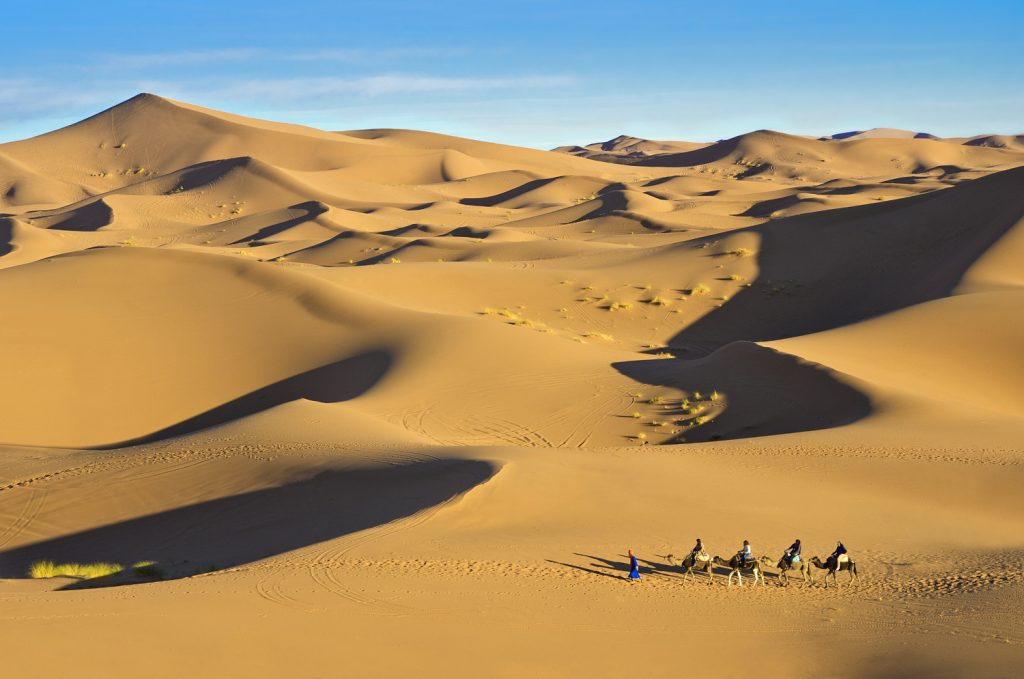 Kamele und Reiter in der Wüste in Douz auf Djerba