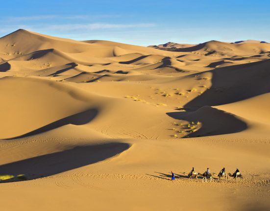 Kamele und Reiter in der Wüste in Douz auf Djerba